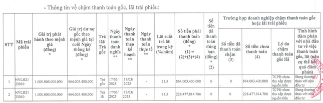 Hành động của con trai ông Bùi Thành Nhơn giữa lúc Novaland nợ đầm đìa ảnh 2