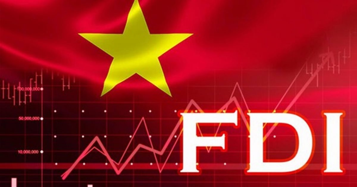 1-fdi-vietnam-17225637531671109561490-33-0-517-775-crop-1722563756410207024107320250317221731.jpg