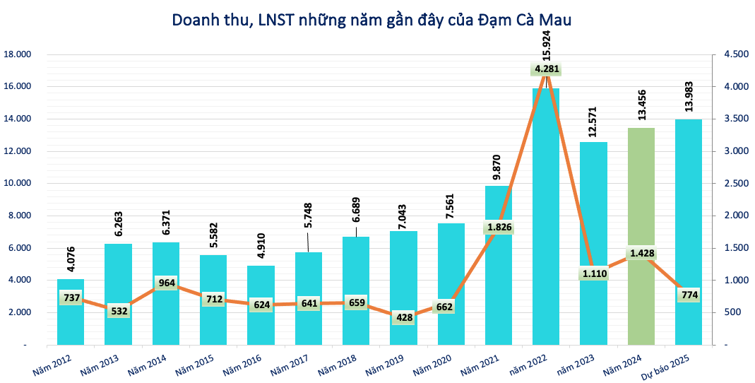 Đạm Cà Mau (DCM) đặt mục tiêu lãi sau thuế 774 tỷ đồng năm 2025