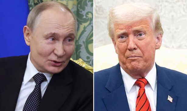 Ông Putin và ông Trump có thể đã âm thầm liên lạc nhiều lần ảnh 1