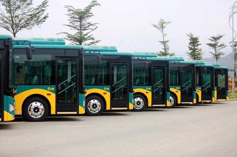 TPHCM dồn lực để có 100% xe buýt điện trước năm 2030