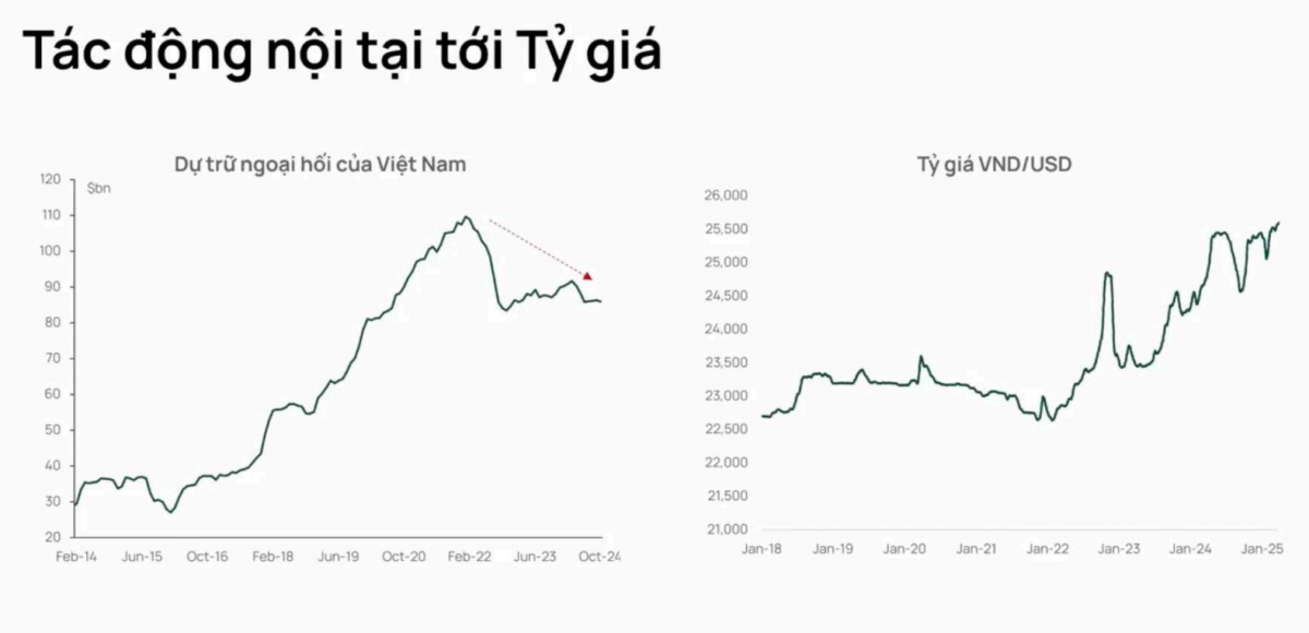 Chuyên gia Dragon Capital: Mỹ áp thuế 46%, tỷ giá USD/VND vẫn ‘điềm tĩnh’