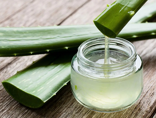 Loại lá nhơn nhớt là 'mỹ phẩm thiên nhiên' vừa chống rụng, vừa kích thích mọc tóc hiệu quả: Nhiều gia đình Việt đang sở hữu