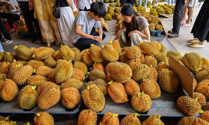 Lận đận tại Trung Quốc, sầu riêng Thái Lan 'đặt cược' vào bến đỗ mới