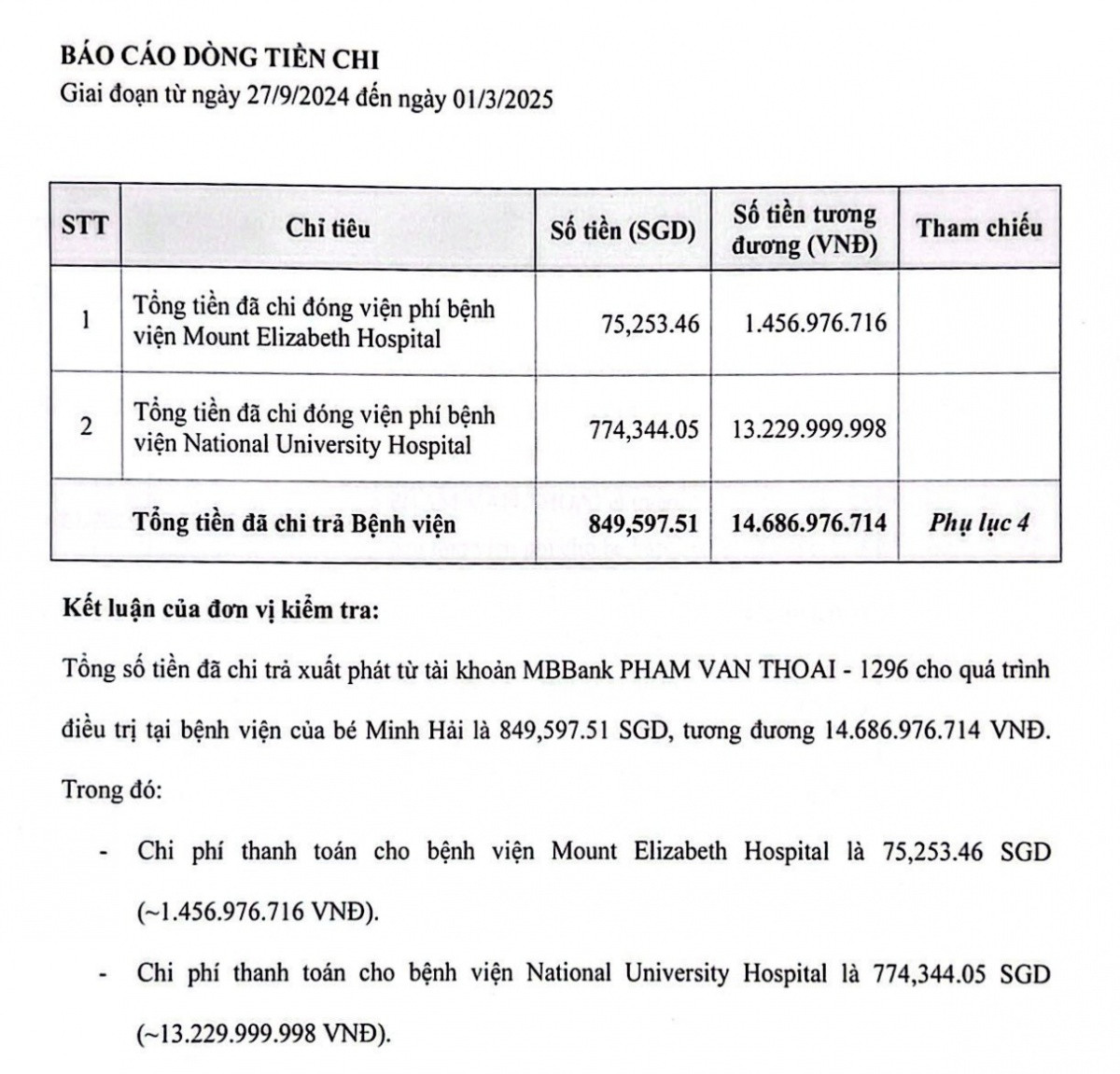 Công ty nào kiểm toán cho Phạm Thoại trong vụ việc liên quan mẹ Bắp và số tiền từ thiện hơn 16 tỷ đồng?