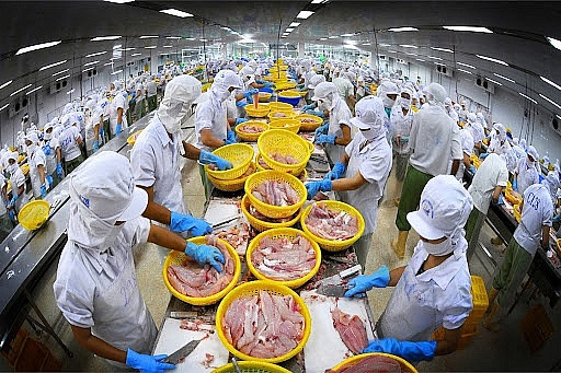 Gần 110.000 tấn thủy sản nguy cơ bị áp thuế gấp 9 lần trước khi cập cảng Mỹ, còn 5 ngày để 'cứu' hơn 400 doanh nghiệp và hàng trăm nghìn hộ nuôi trồng