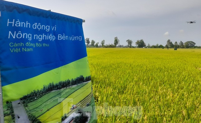 Sản xuất lúa gạo tạo khí nhà kính nhiều nhất trong nông nghiệp ảnh 2