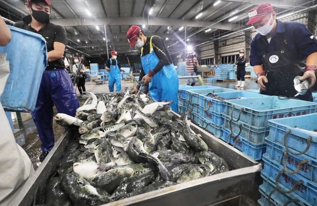 Áp thuế 46%: Hơn 37.000 tấn thủy sản Việt Nam đang trên đường sang Mỹ ảnh 1