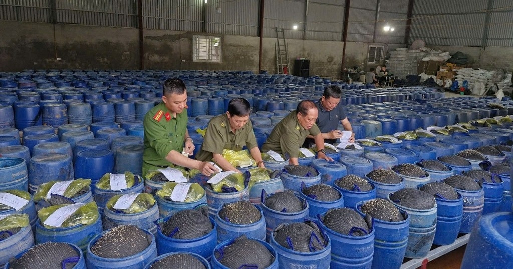 Bắt giữ 4 chủ cơ sở ngâm giá đỗ bằng hóa chất 'nước kẹo', đã bán 3.500 tấn