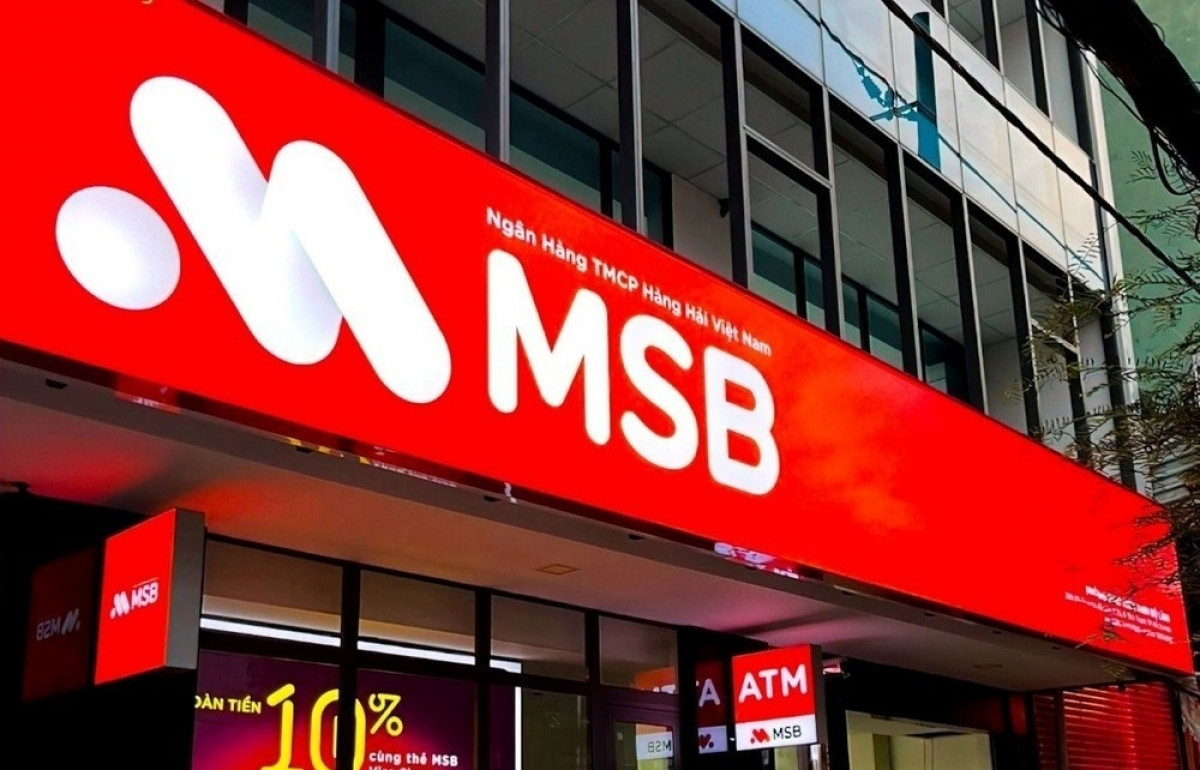 CEO MSB: Tìm công ty chứng khoán có 'bảng tài sản sạch sẽ', 'vốn điều lệ từ 300-500 tỷ' để phát triển mảng Wealth Management