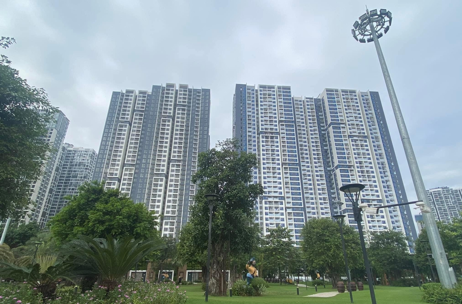 Ảnh minh họa Ảnh minh họa