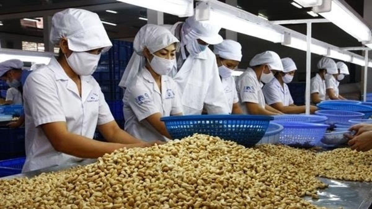 Mỹ áp thuế, loại hạt tỷ đô của Việt Nam chuyển hướng đẩy mạnh sang Trung Đông