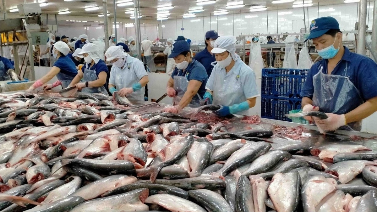 Mặt hàng được mệnh danh là mỏ vàng dưới nước của Việt Nam: Mỹ, Trung Quốc là khách hàng lớn, đem về hàng trăm triệu đô