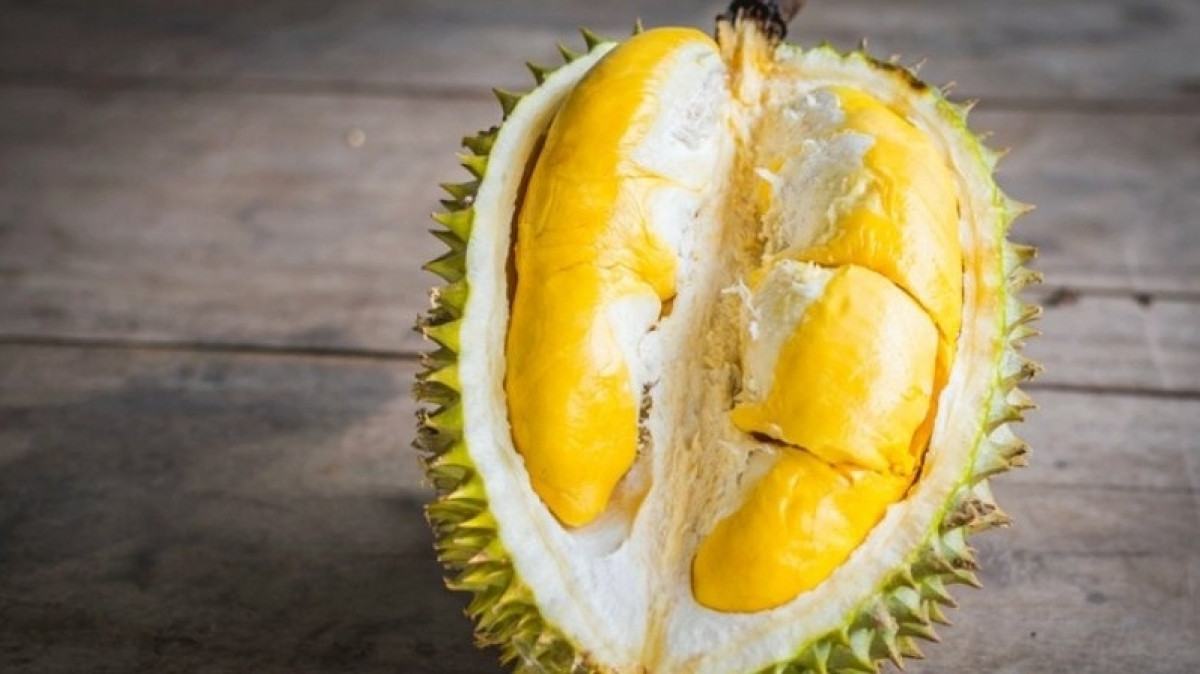 Một giống sầu riêng đang lên ngôi, giá vọt 90.000 đồng/kg, nông dân Đông Nai hái bạc tỷ