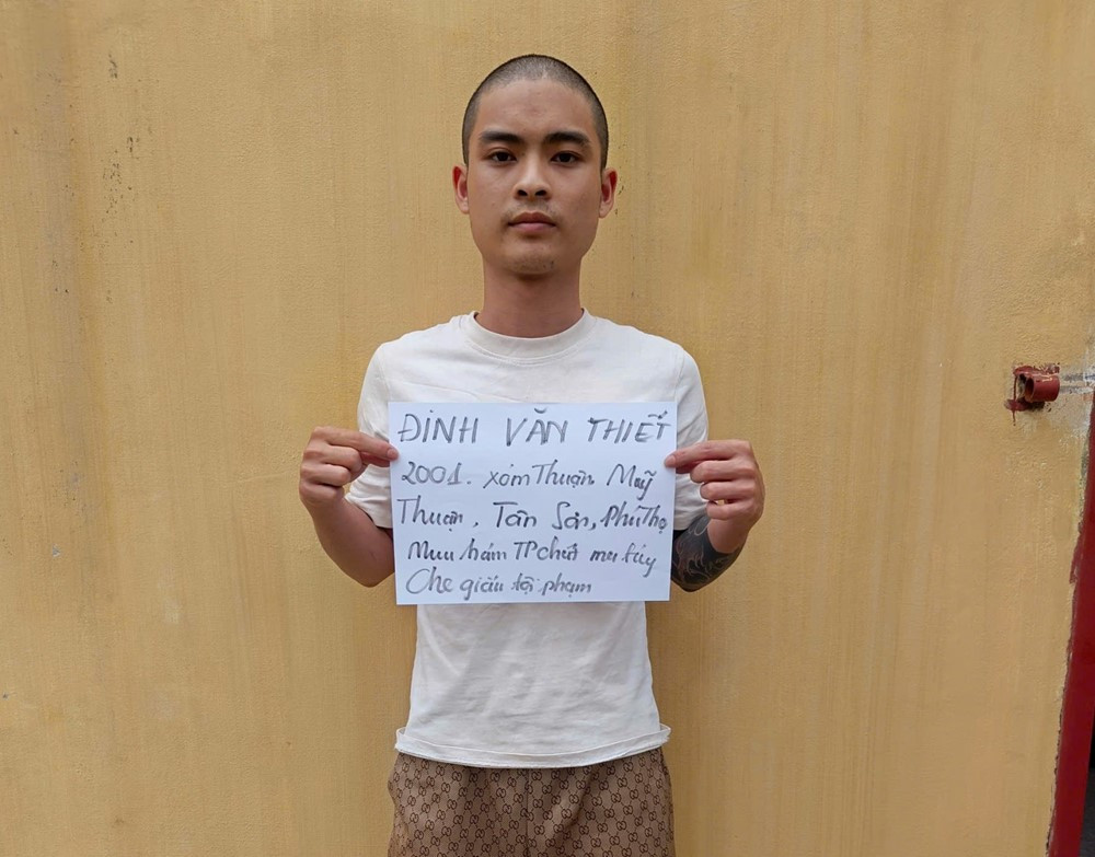 Khởi tố bạn gái sinh năm 2005 của Bùi Đình Khánh vì che giấu tội phạm - ảnh 8