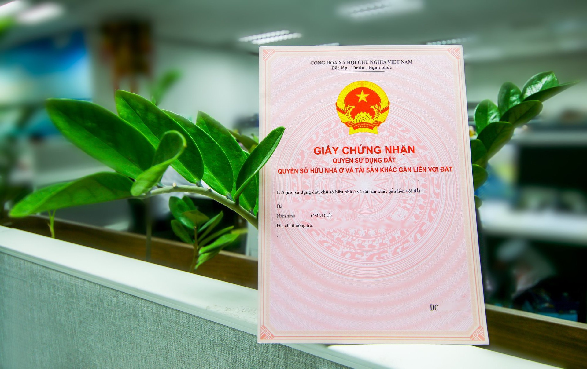 Từ bây giờ, những trường hợp này sẽ được miễn thuế thu nhập cá nhân khi sang tên sổ đỏ- Ảnh 1. Từ bây giờ, những trường hợp này sẽ được miễn thuế thu nhập cá nhân khi sang tên sổ đỏ- Ảnh 1.
