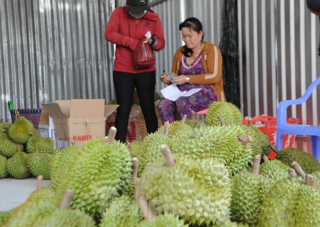 Sầu riêng ‘rẻ như bèo’ bán đầy đường ảnh 9