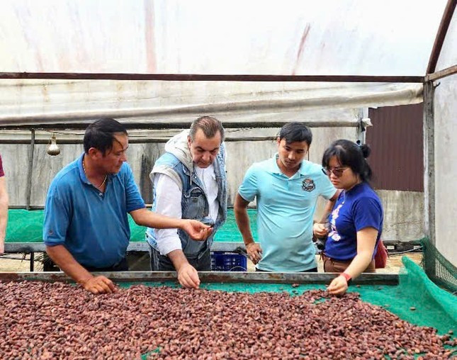 Ca cao khan hiếm giữa ‘cơn sốt’ giá kỷ lục ảnh 2