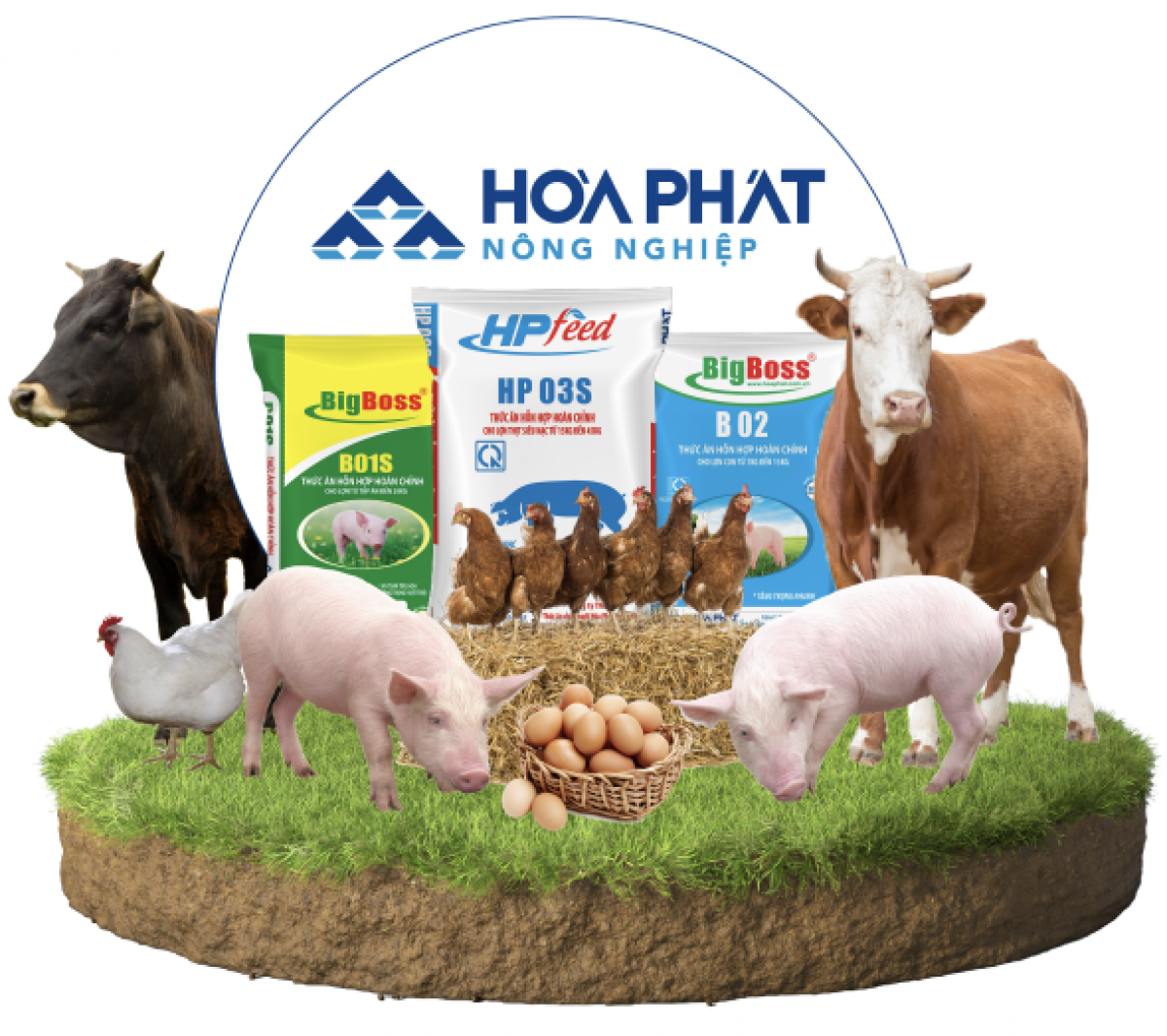 Chục năm đầu tư vào mảng nông nghiệp, Hòa Phát (HPG) thu được bao nhiêu?