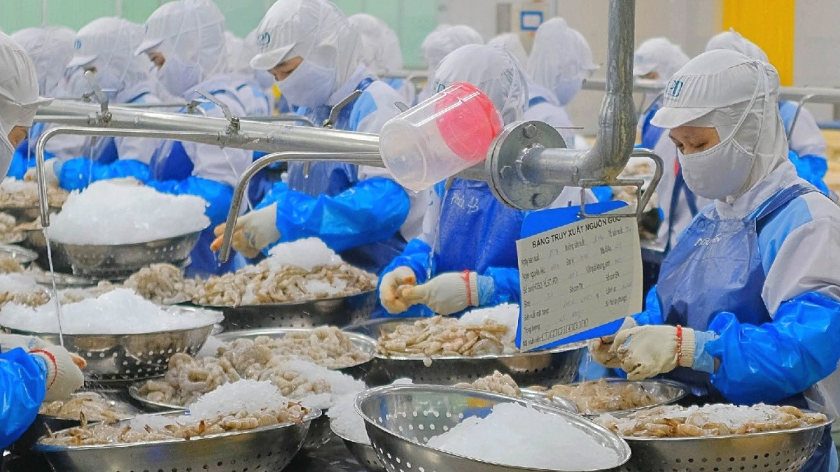 Ông lớn ngành tôm Việt Nam đón tin vui ngay trước giờ đàm phán thuế quan với Mỹ