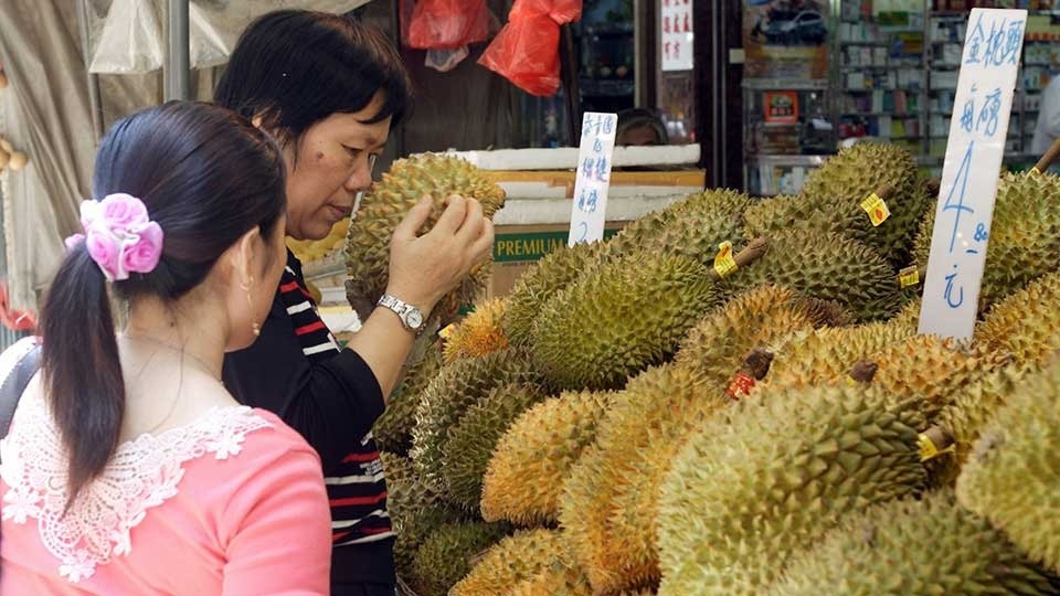 Nước đi sai lầm khiến sầu riêng Thái Lan bị 'thần tài' Trung Quốc tẩy chay