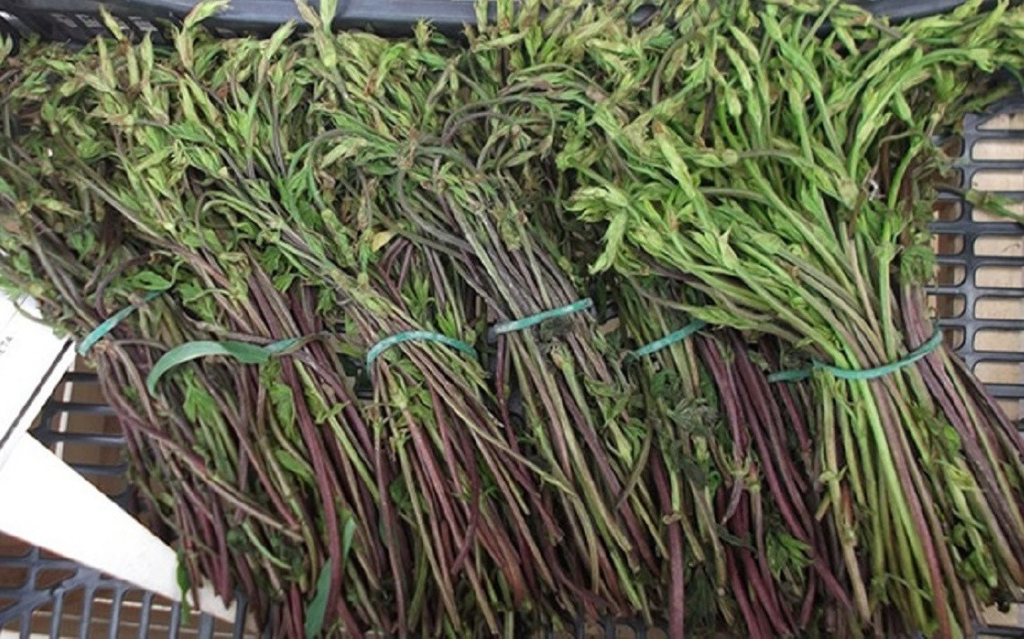 Loại hoa từng bị coi là phế phẩm nay được săn lùng: Giá lên tới 39 triệu/kg, phải may mắn lắm mới có thể mua