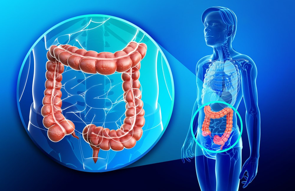 Nhóm bệnh nhân Việt uống thuốc thử nghiệm chữa ung thư có tín hiệu tích cực - ảnh 3