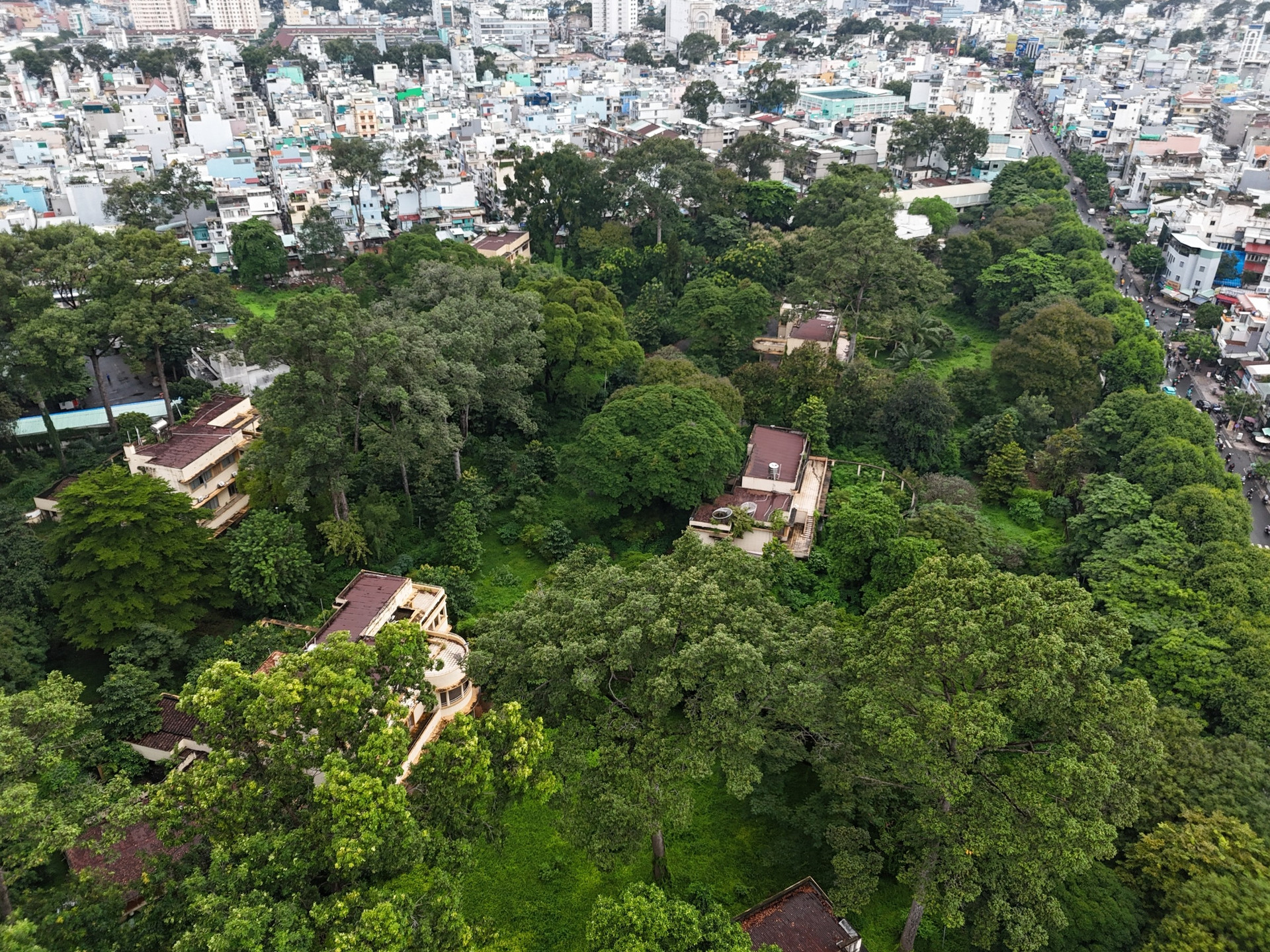 8 căn biệt thự bỏ hoang trên khu đất 4ha giữa TP: Từng là nơi ở của gia tộc giàu bậc nhất Đông Dương, tồn tại suốt gần một thế kỷ- Ảnh 3. 8 căn biệt thự bỏ hoang trên khu đất 4ha giữa TP: Từng là nơi ở của gia tộc giàu bậc nhất Đông Dương, tồn tại suốt gần một thế kỷ- Ảnh 3.