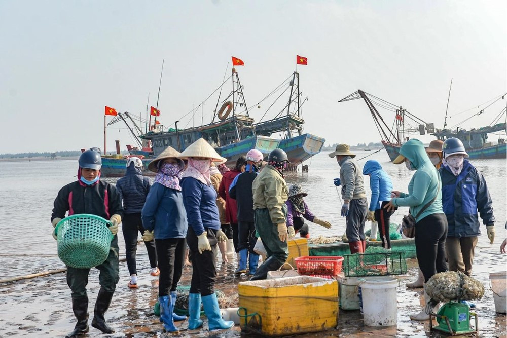 Sản vật là ‘vua xuất khẩu’ chủ lực của Việt Nam được Mỹ, Nhật, EU săn đón, thu vượt 250 tỷ đồng/ngày - ảnh 1