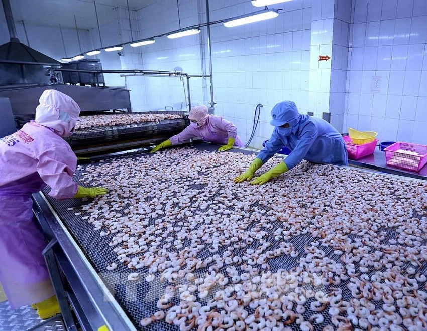 Doanh nghiệp thủy sản 12.600 nhân sự lãi quý trở lại, xuất khẩu trăm triệu USD sang Mỹ, EU, Nhật, Úc...