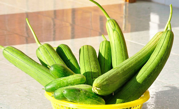 Loại quả được ví như 'nhân sâm của người nghèo', giá rẻ, bán chạy khắp chợ Việt vào mùa hè