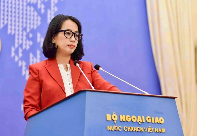 Việt Nam hoan nghênh đề xuất của Tổng thống Nga với Ukraine ảnh 1