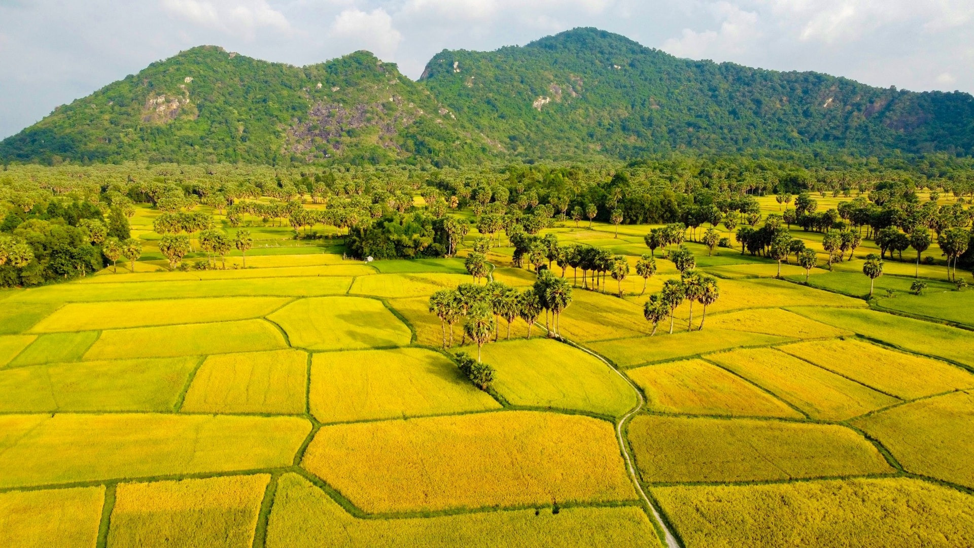 Kể từ nay, bỏ hoang đất trong những trường hợp này sẽ chịu hậu quả lớn- Ảnh 2. Kể từ nay, bỏ hoang đất trong những trường hợp này sẽ chịu hậu quả lớn- Ảnh 2.