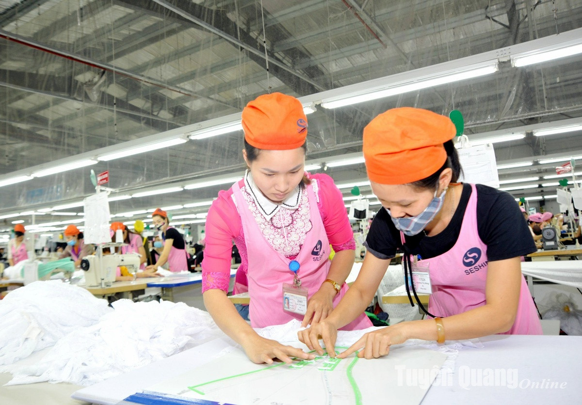 Chuyên gia: Doanh nhân không sợ ổ gà, chỉ sợ luật chơi không rõ ràng