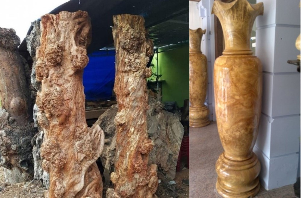 Cặp lục bình làm từ loại gỗ 'quý như kim cương' tại Việt Nam từng lập kỷ lục: Cao gần 2m, mất 36 tháng chế tác - ảnh 1