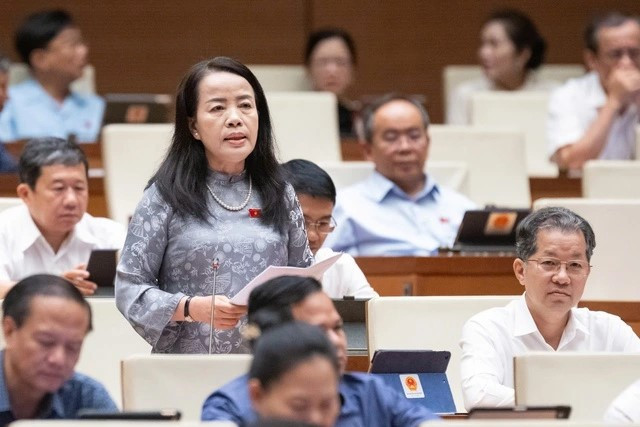 ĐBQH phản đối việc bỏ chất vấn chánh án, viện trưởng: ‘Nếu vậy, dân bị oan sẽ nhờ cậy ai chất vấn để bảo vệ quyền lợi của họ?’ - ảnh 1