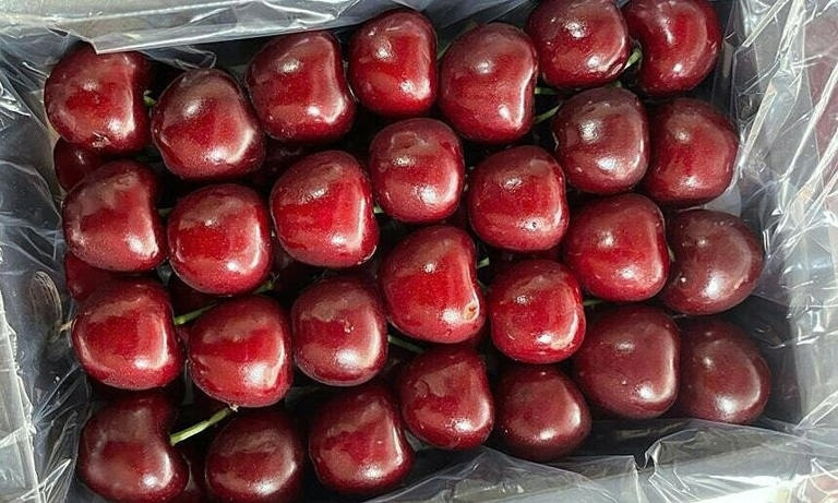 Giá 600.000 đồng/kg, một loại cherry Trung Quốc đang hạ knock-out đối thủ Mỹ - Úc