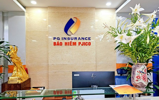 Tổng Giám đốc Tổng Công ty Bảo hiểm Petrolimex bị miễn nhiệm ảnh 1