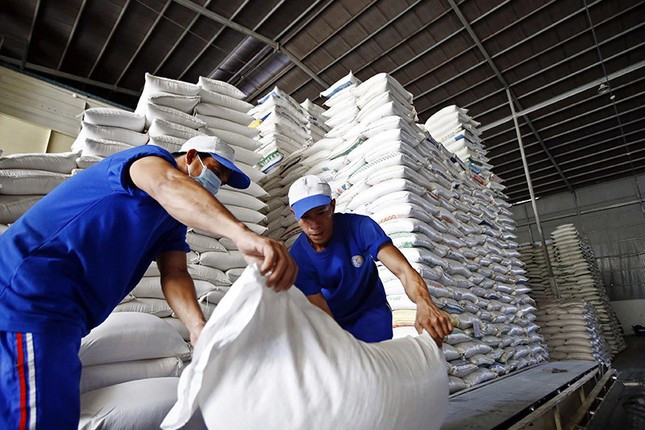 Đề xuất quy định mới về kinh doanh xuất khẩu gạo ảnh 1