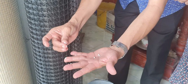 Phát hiện ‘gạo lạ’ ở Hậu Giang ảnh 1