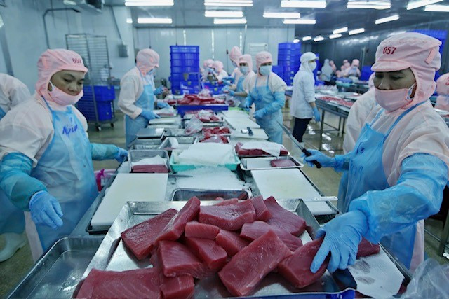 'Cao tốc' cho kinh tế tư nhân: Không hình sự hóa quan hệ kinh tế ảnh 1