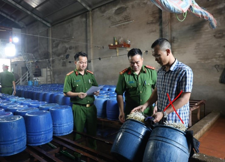 Bắc Giang: Khởi tố chủ cơ sở sản xuất 60 tấn giá đỗ dùng 6-Benzylaminopurine kích thích tăng trưởng