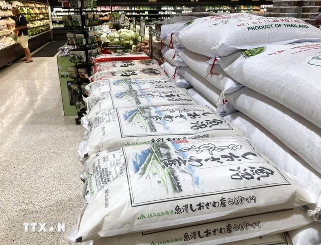 Nhật Bản khủng hoảng giá gạo, Việt Nam đón cơ hội vàng? ảnh 1