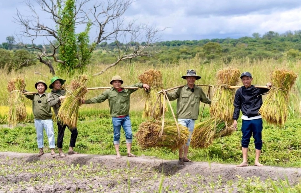 Lý do cảnh sát xuất hiện tại trang trại của Quang Linh Vlogs ở châu Phi - ảnh 5