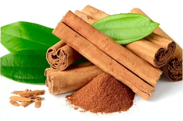 Hàng nghìn tấn vỏ cây quý từ Indonesia vừa đổ bộ Việt Nam: Tiếp sức cho ngành xuất khẩu 'tỏa sáng' trên bản đồ thế giới