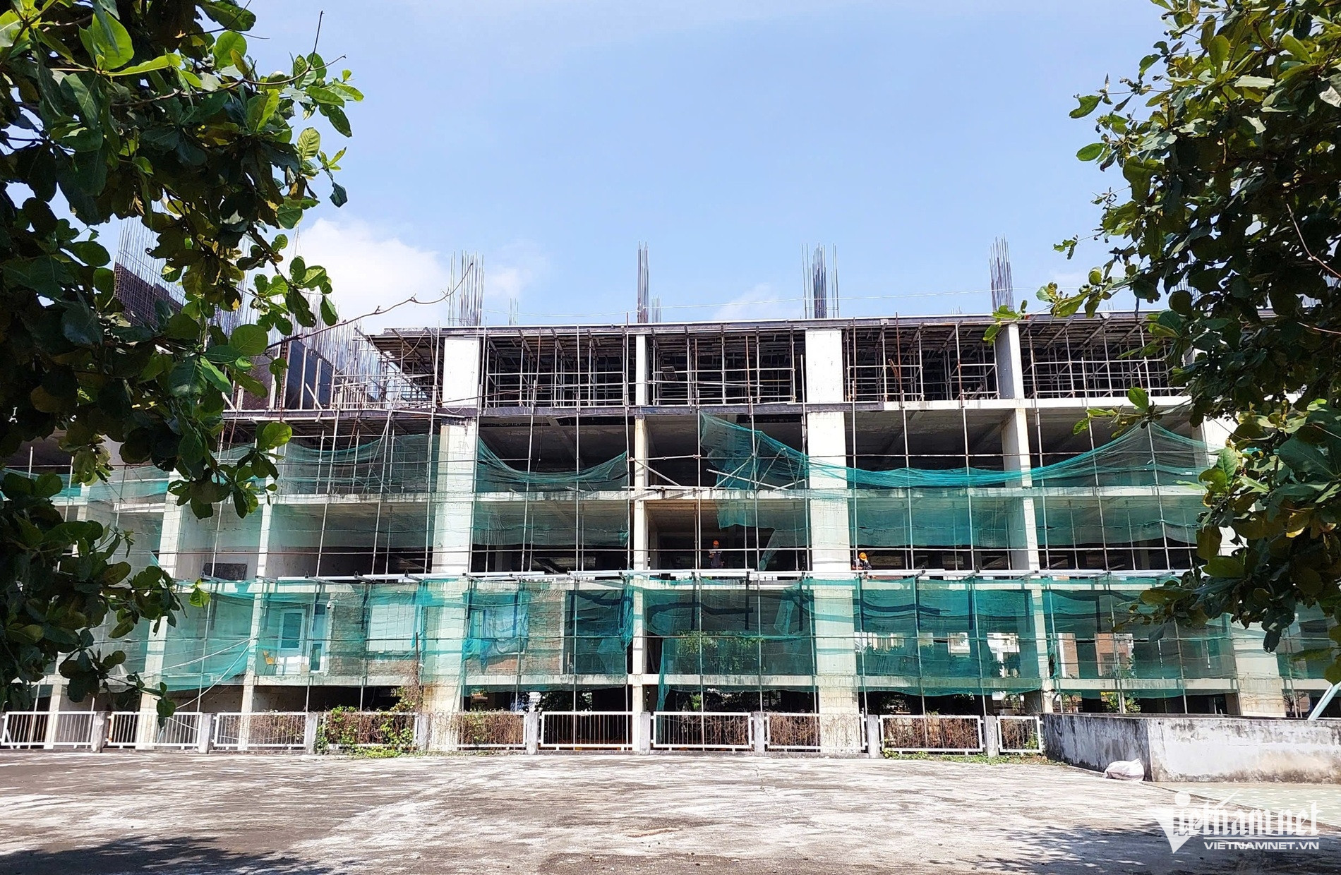 W-hợp nhất5.jpg