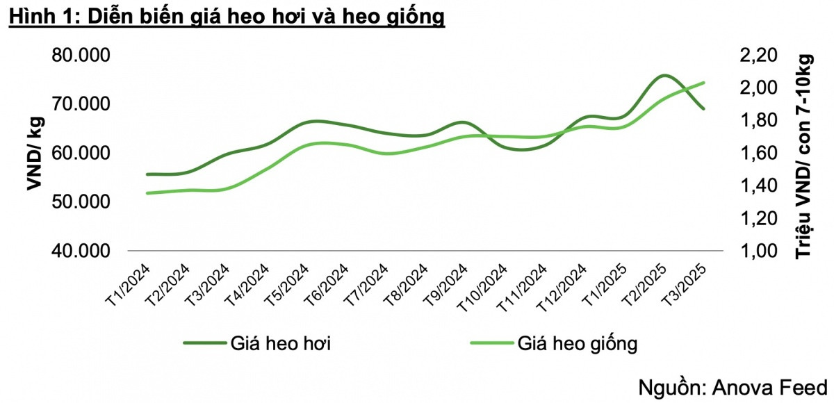 Ngành chăn nuôi đón tín hiệu vui, VCBS dự báo lợi nhuận năm 2025 của Dabaco (DBC) có thể vượt 1.600 tỷ