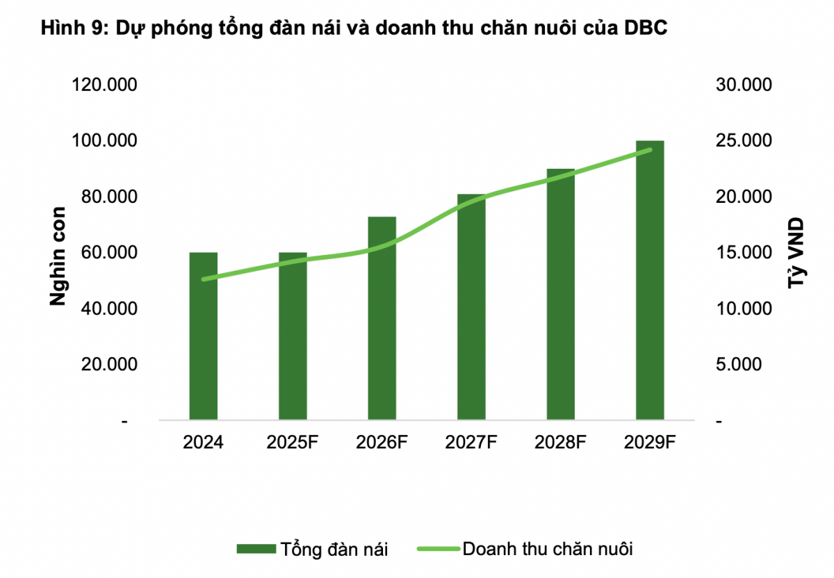 Ngành chăn nuôi đón tín hiệu vui, VCBS dự báo lợi nhuận năm 2025 của Dabaco (DBC) có thể vượt 1.600 tỷ