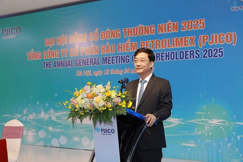 Miễn nhiệm cùng lúc cả TGĐ và Phó TGĐ, Bảo hiểm Petrolimex đang làm ăn ra sao?