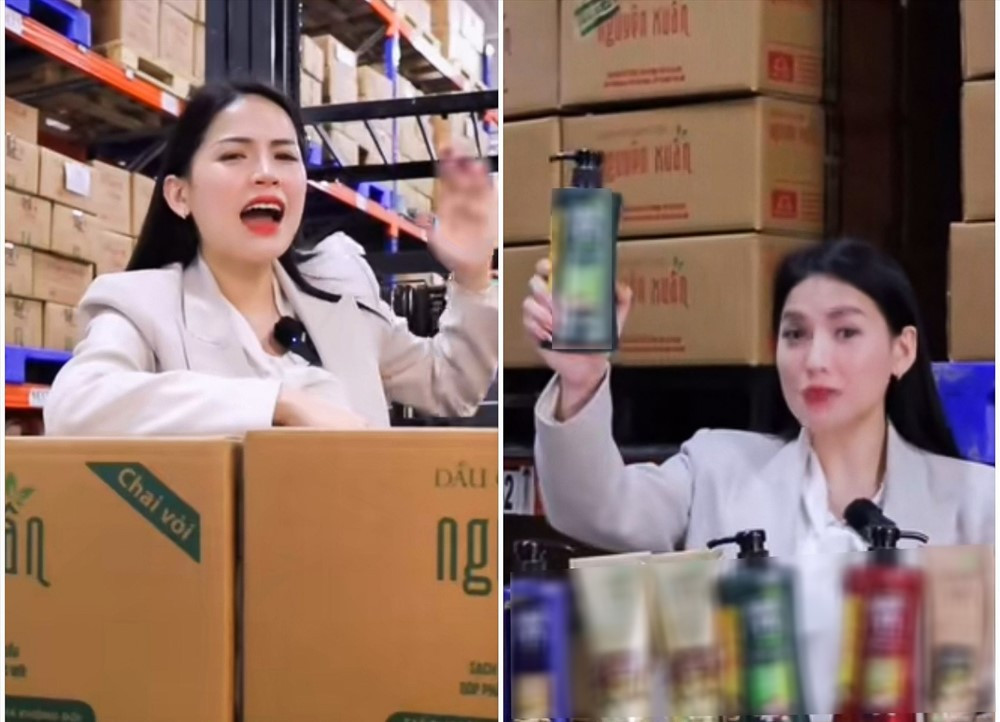 Xác minh, thẩm tra công ty của ‘chiến thần’ Võ Hà Linh - ảnh 2